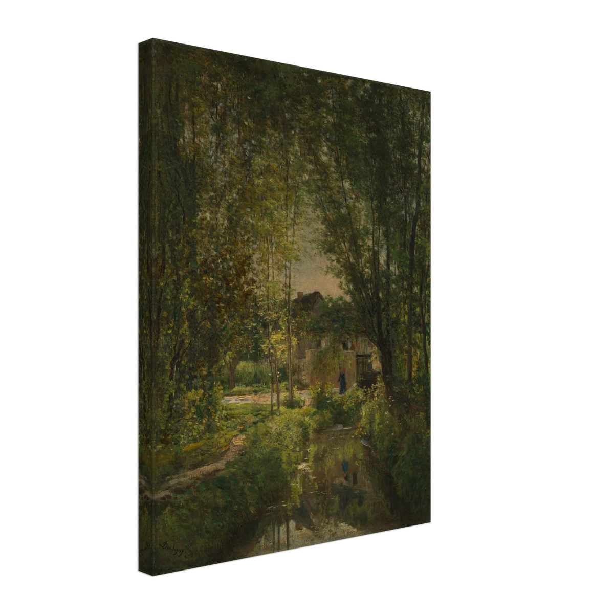 Sunlit stream winds through dense trees toward a cottage in a quiet woodland landscape