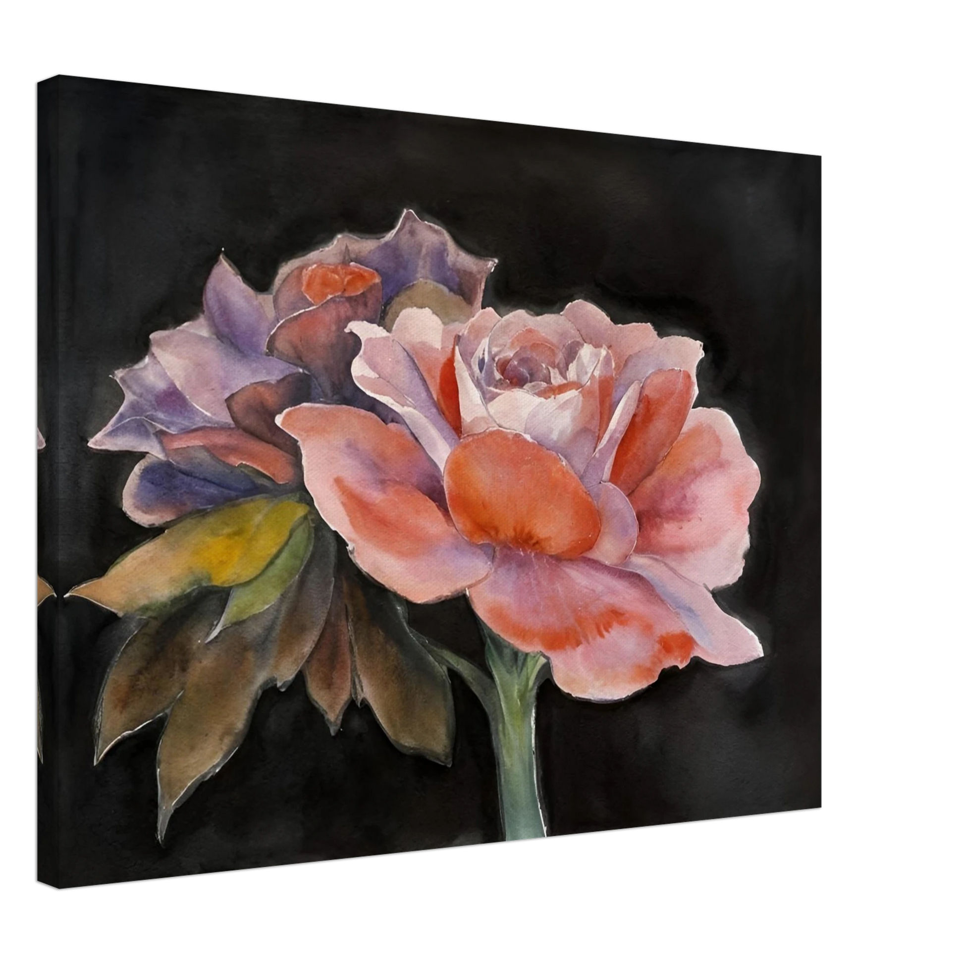 Two delicate watercolor roses with soft pink, purple, and peach tones bloom vividly against a dark background.