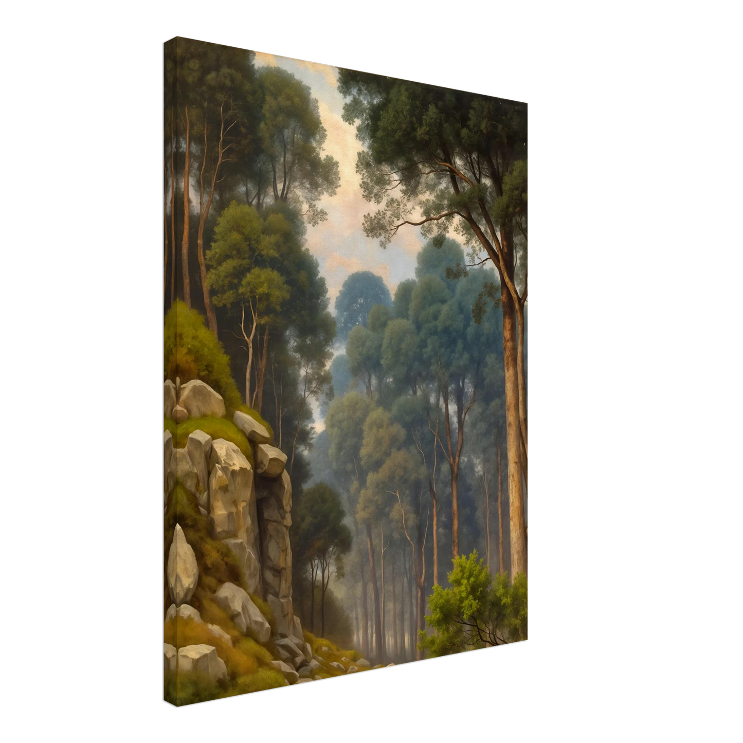 A serene woodland scene with towering pine trees, rocky slopes, soft morning light, and misty forest depth in lush green tones.