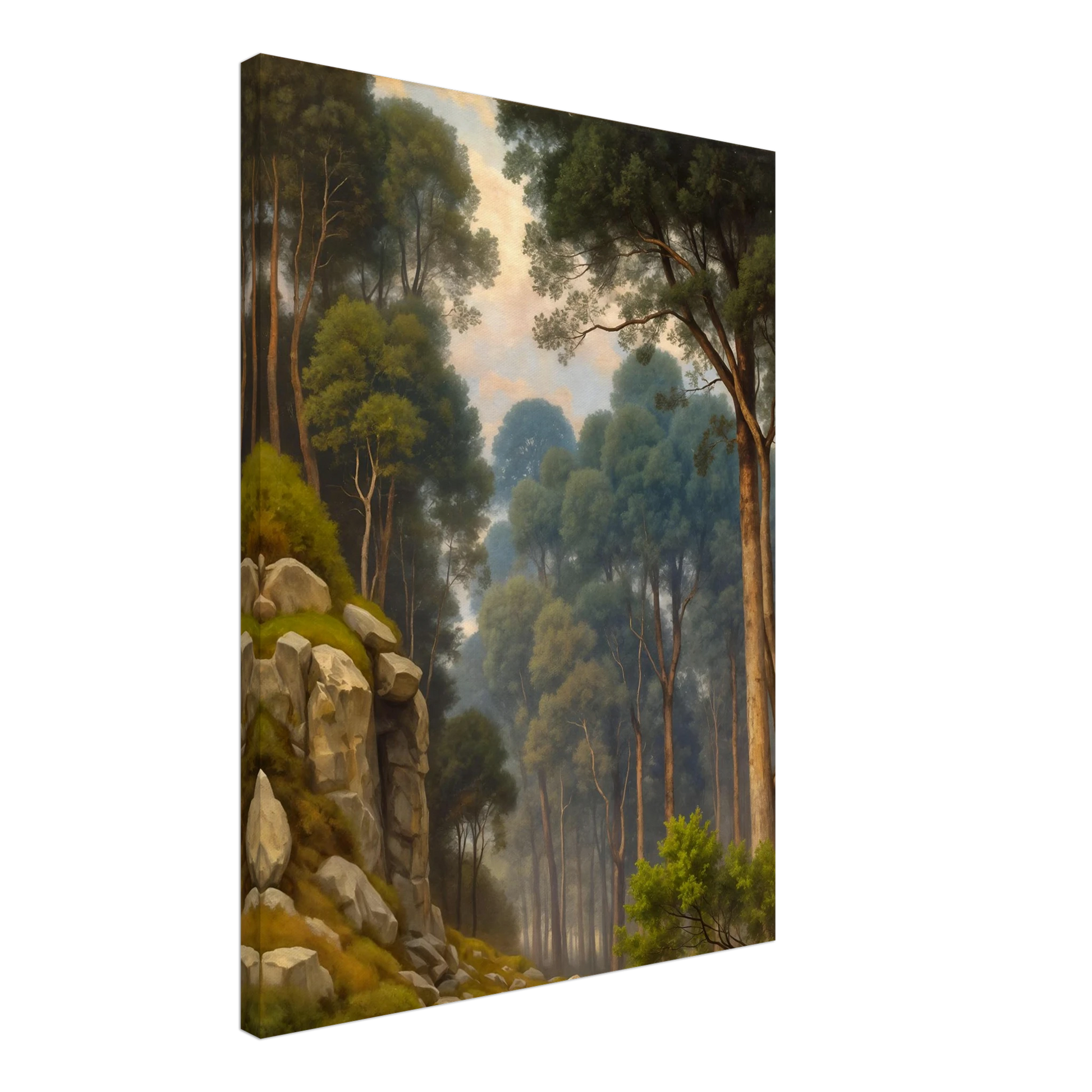 A serene woodland scene with towering pine trees, rocky slopes, soft morning light, and misty forest depth in lush green tones.