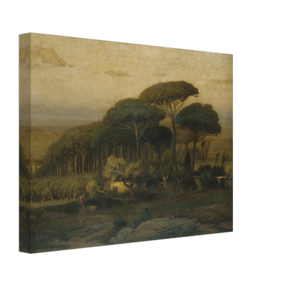 Umbrella pines rise over a quiet Italian landscape with fields and distant hills