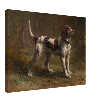 A brown-and-white hound stands alert in a dark woodland clearing.