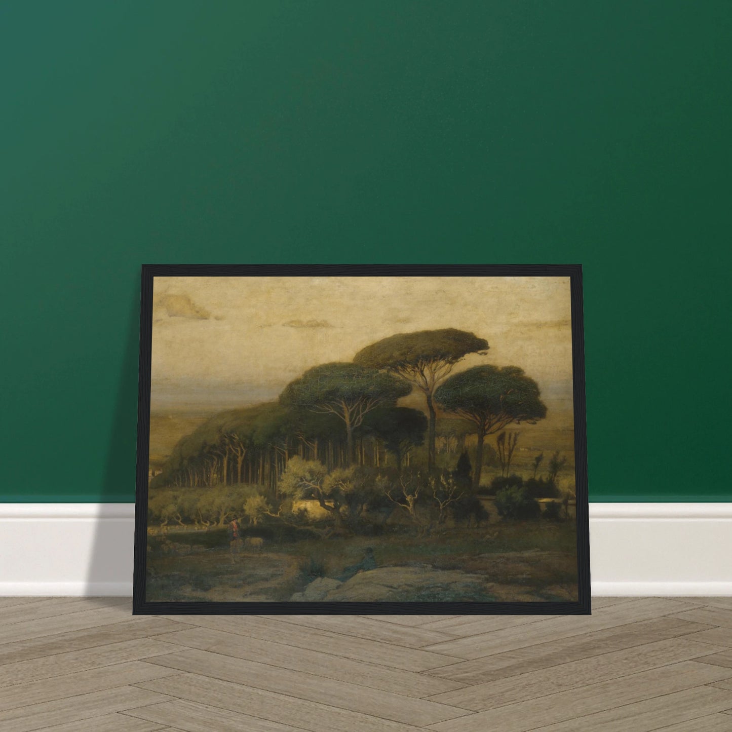 Umbrella pines rise over a quiet Italian landscape with fields and distant hills