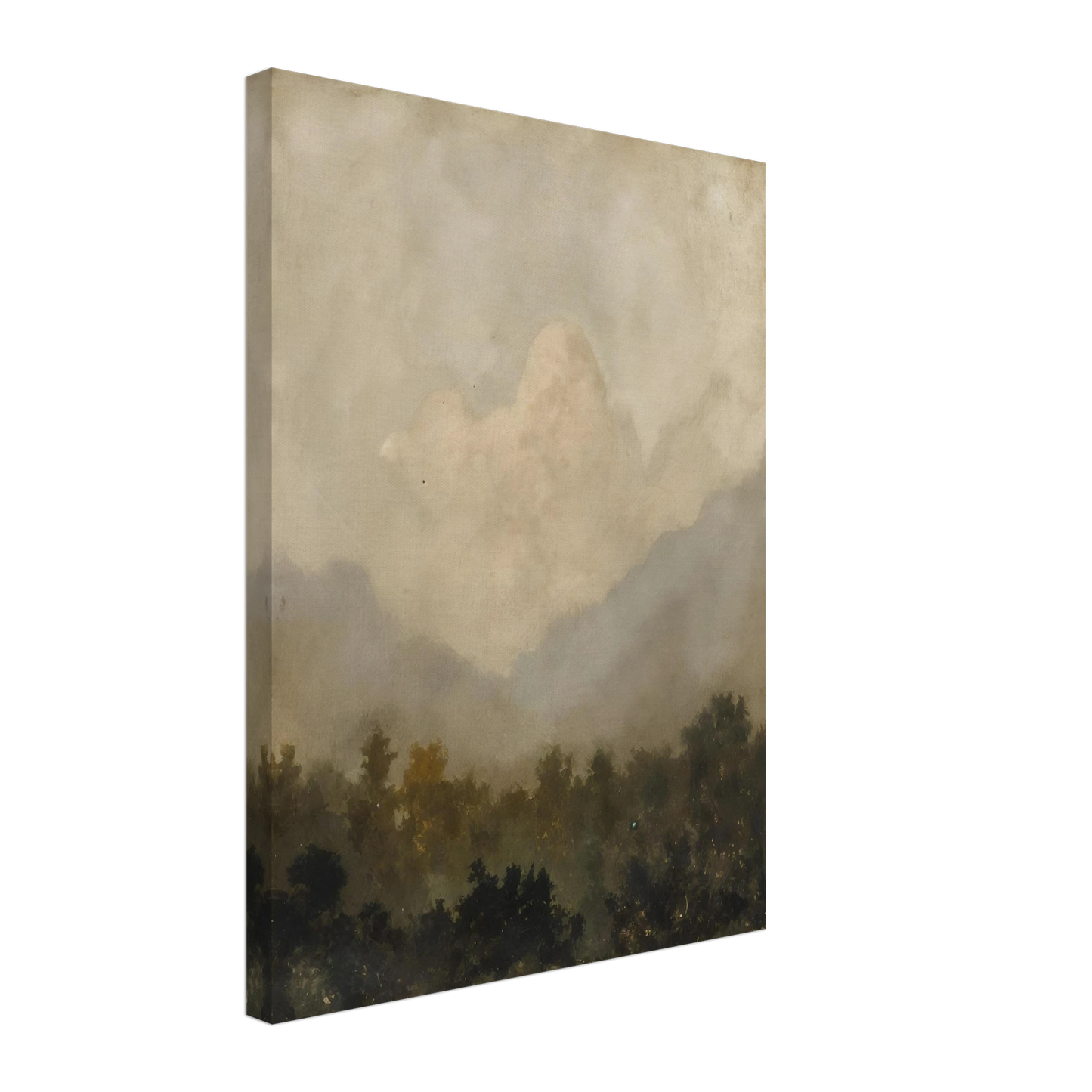 Soft clouds hover above a shadowy forest, evoking serenity and silence beneath a veil of golden haze.