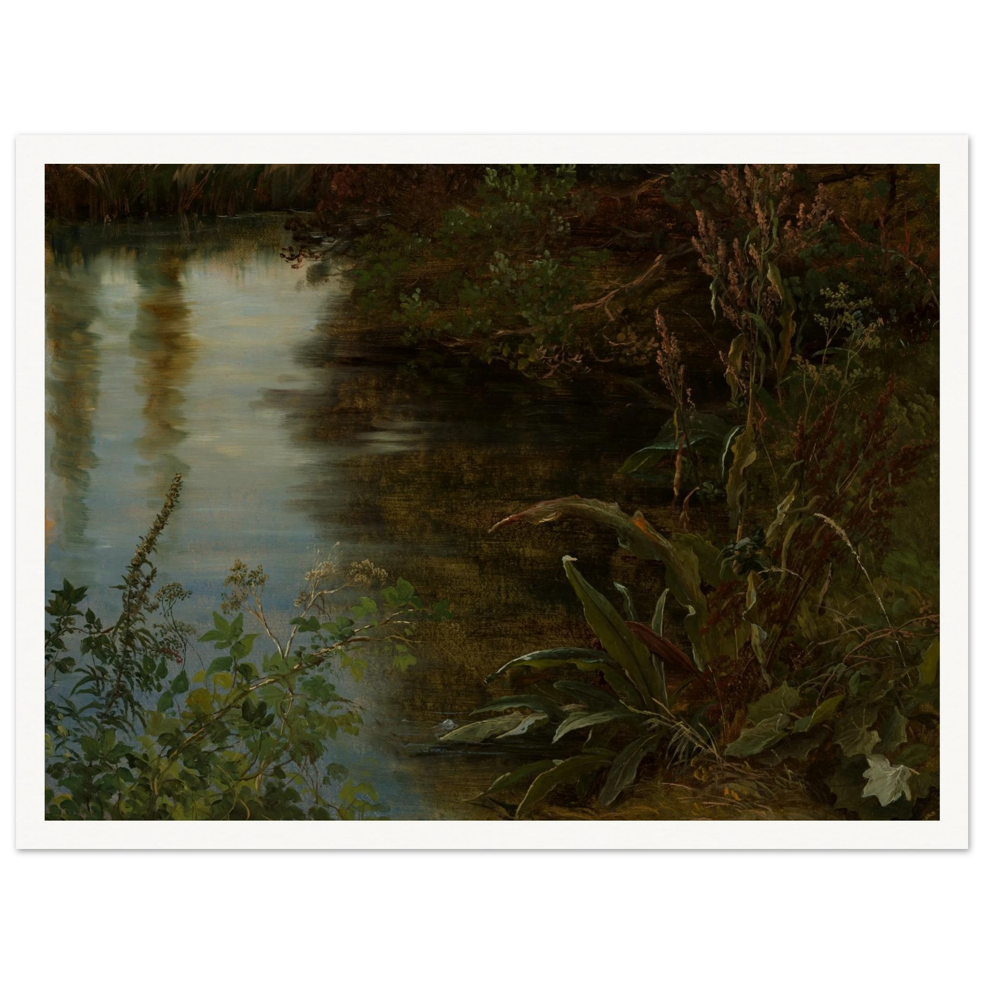 Calm water reflects trees beside dense riverbank plants and grasses