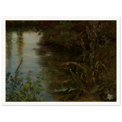 Calm water reflects trees beside dense riverbank plants and grasses