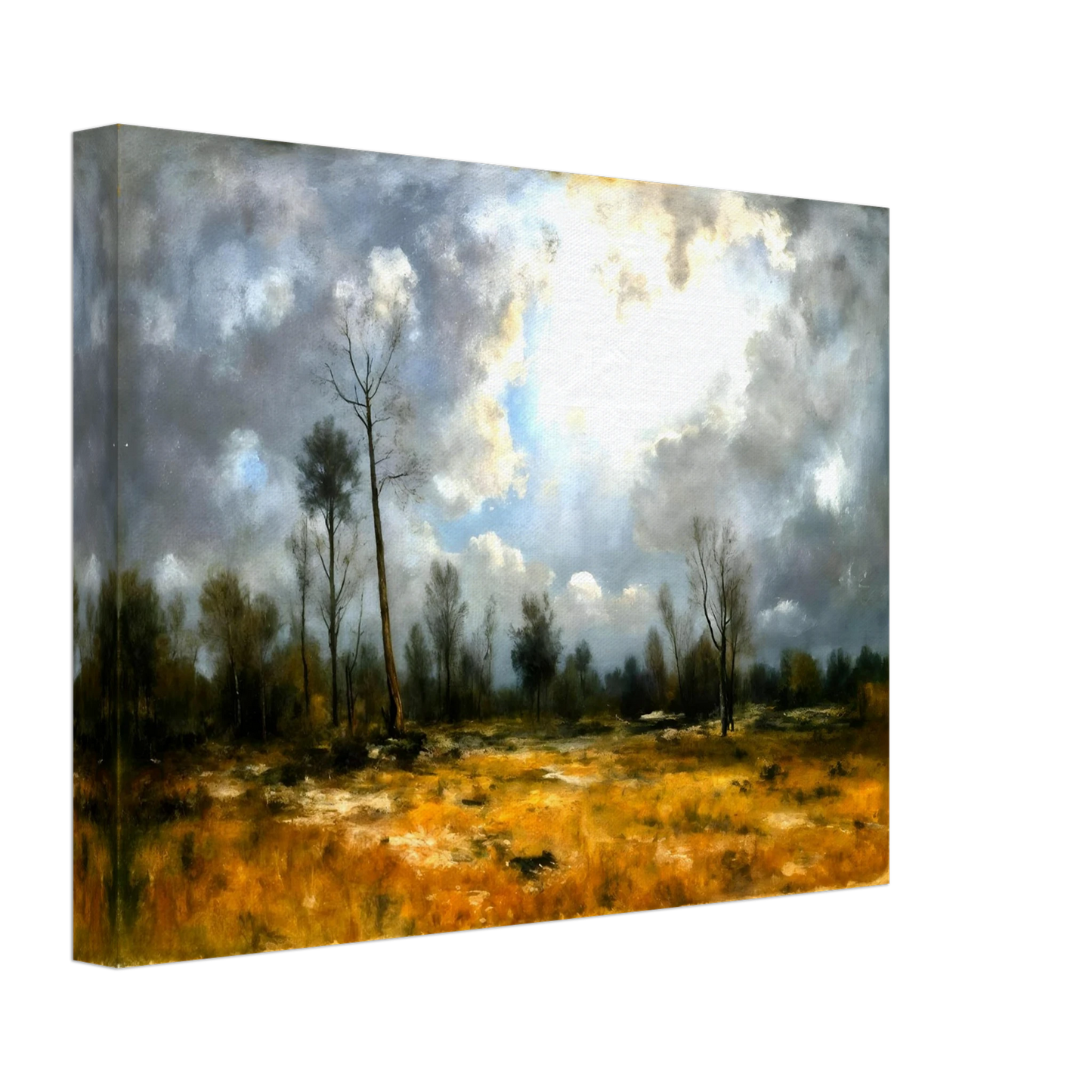 A dramatic meadow of golden grasses beneath towering storm clouds, where bright sunlight pierces through over sparse trees.