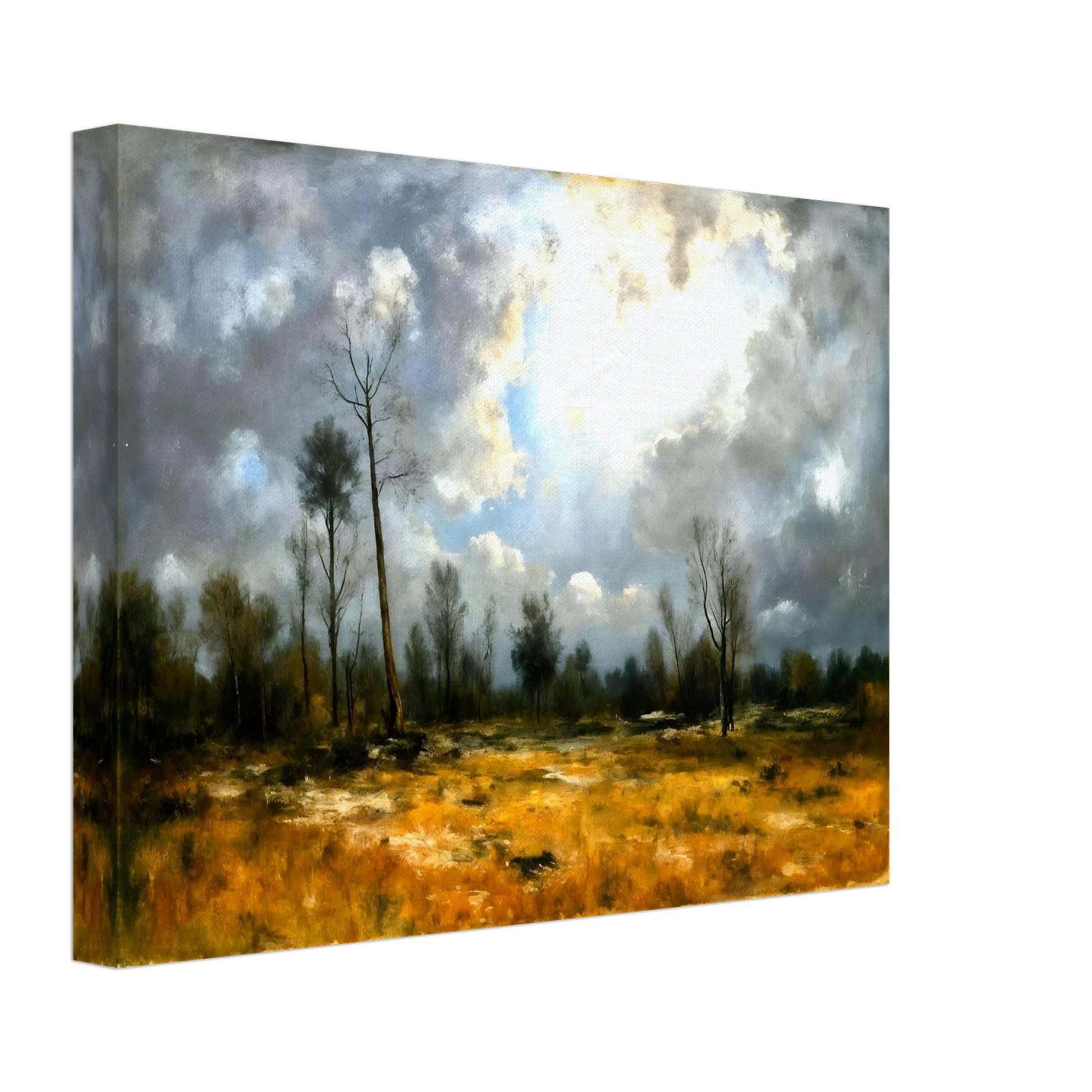A dramatic meadow of golden grasses beneath towering storm clouds, where bright sunlight pierces through over sparse trees.