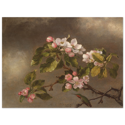 A hummingbird perches beneath pink apple blossoms against a cloudy gray-brown sky.