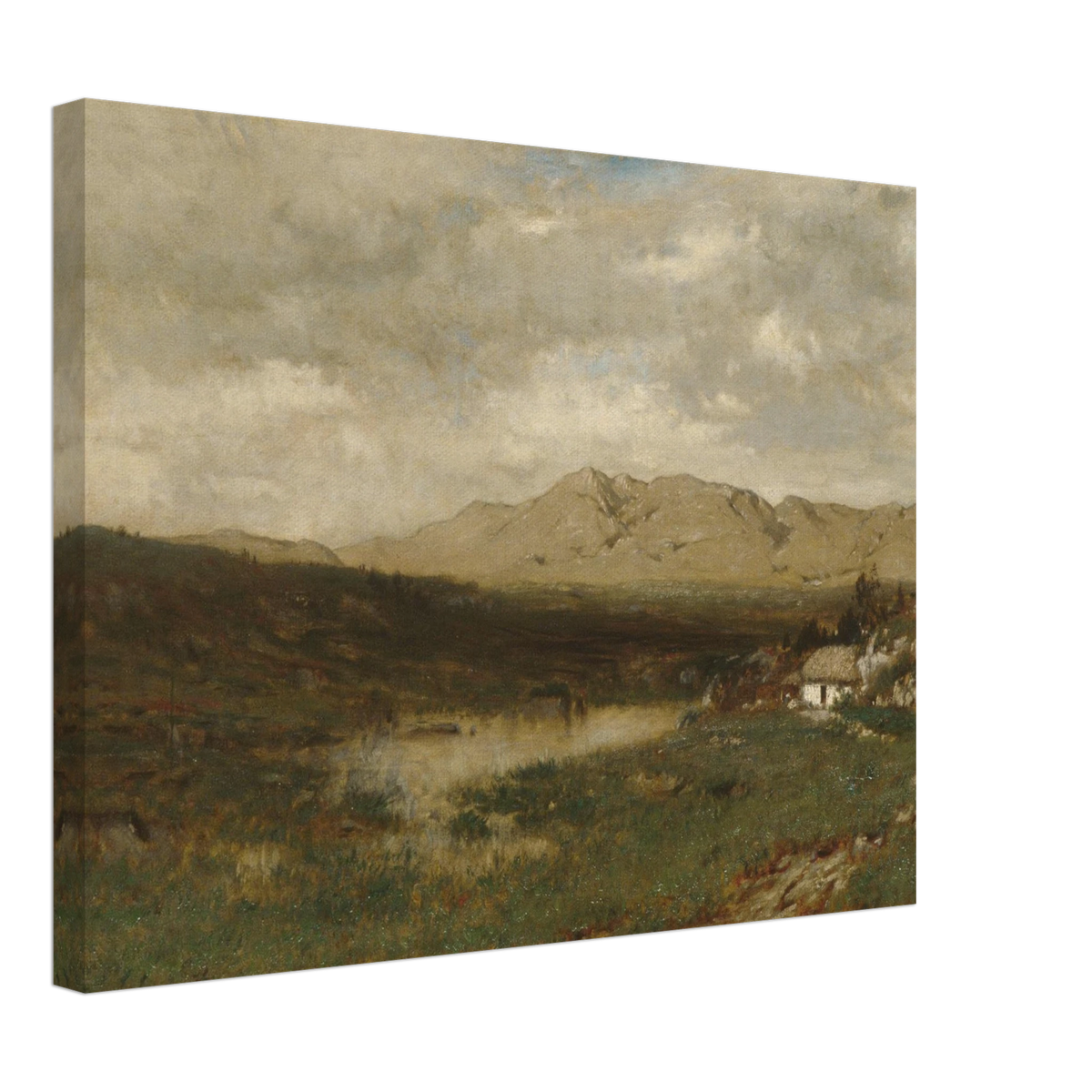A rural cottage sits below distant mountains beneath a broad, cloudy sky in the Irish countryside.
