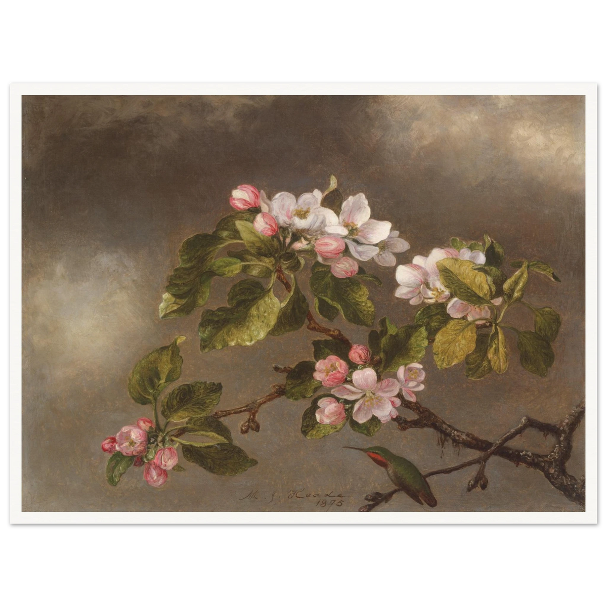 A hummingbird perches beneath pink apple blossoms against a cloudy gray-brown sky.