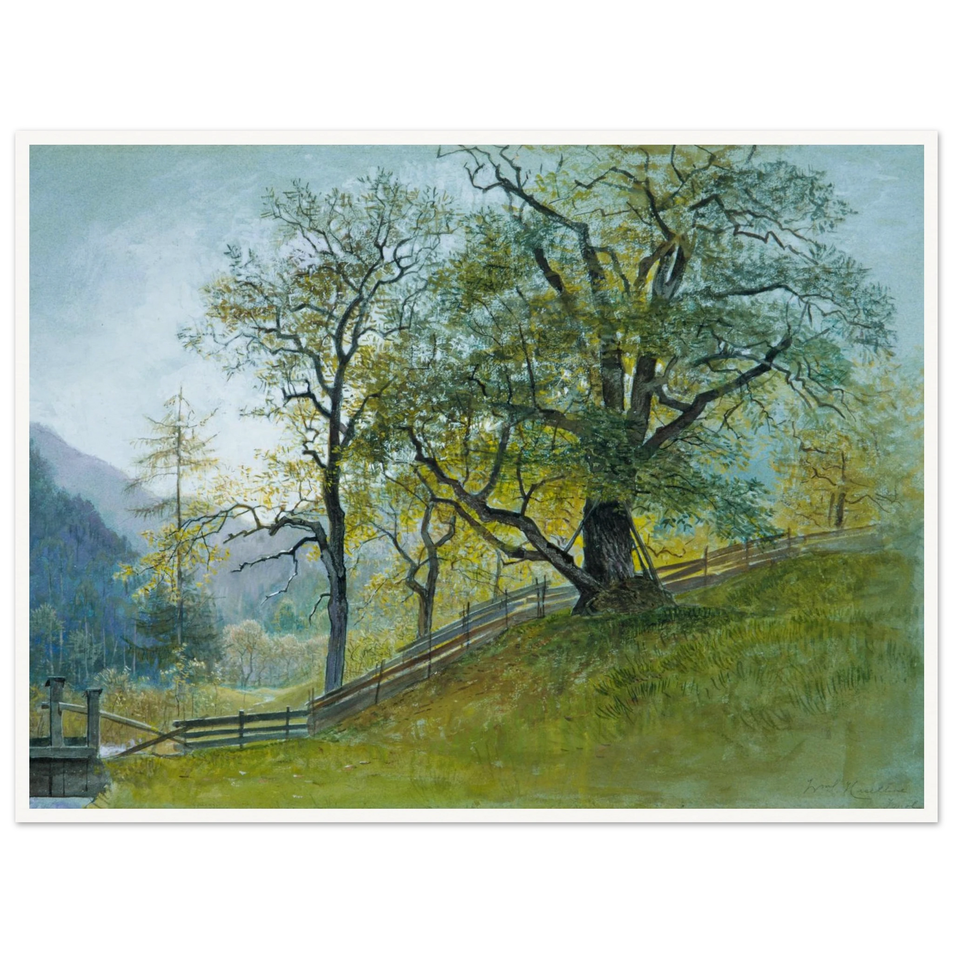 A sunlit old tree rises beside a wooden fence on a green hillside, with distant mountains under a pale blue sky.