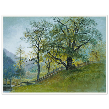 A sunlit old tree rises beside a wooden fence on a green hillside, with distant mountains under a pale blue sky.