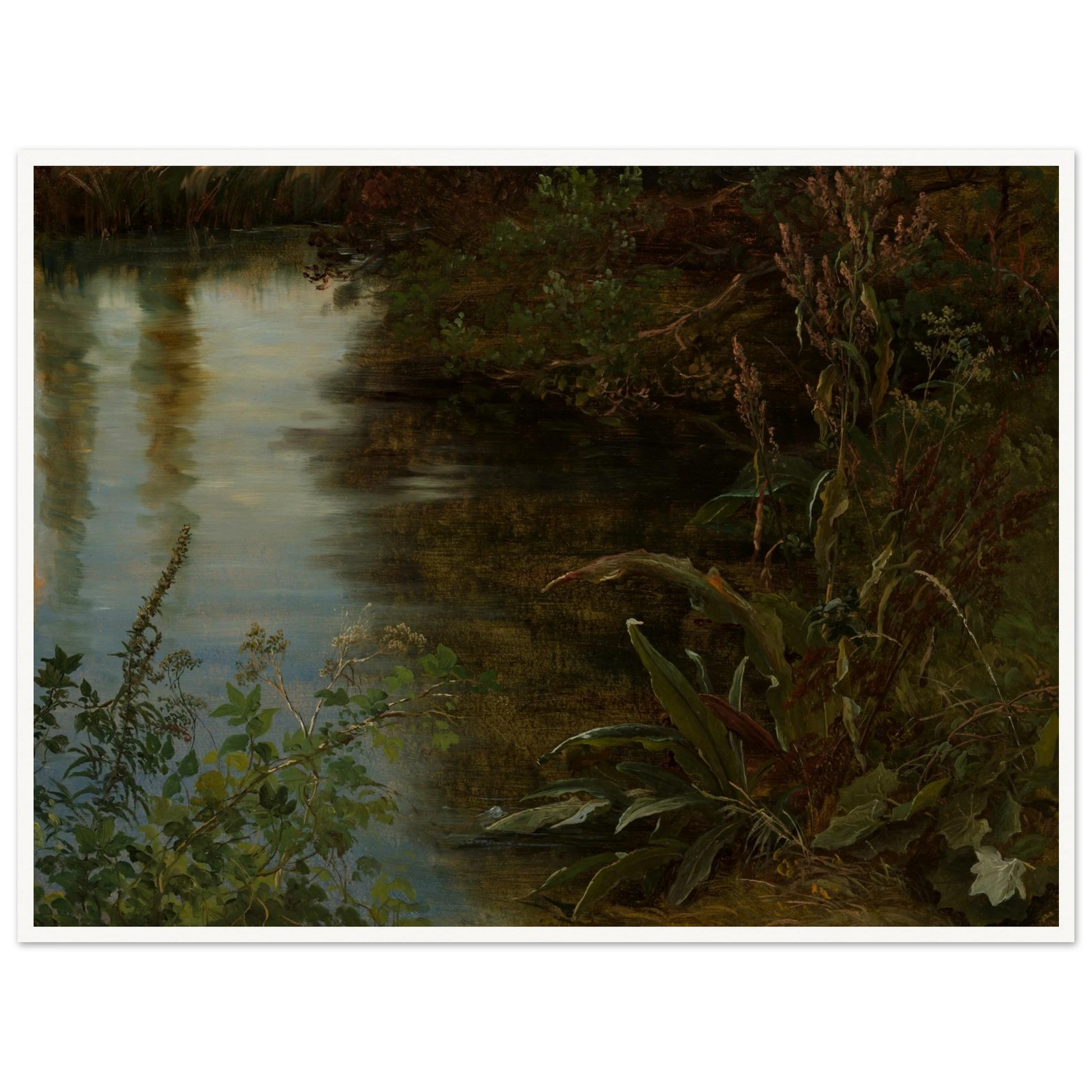 Calm water reflects trees beside dense riverbank plants and grasses