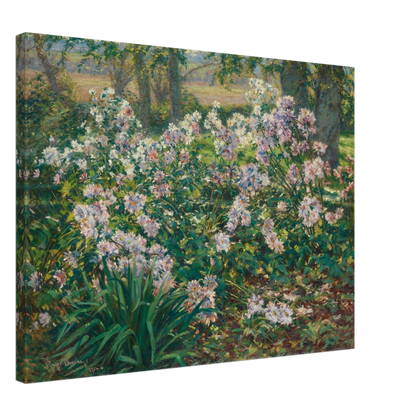 Pink and white flowers bloom densely among lush green foliage beneath tall trees in a sunlit garden.