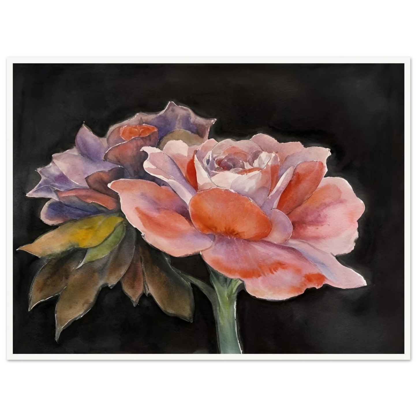 Two delicate watercolor roses with soft pink, purple, and peach tones bloom vividly against a dark background.