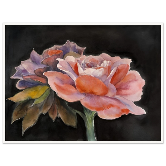 Two delicate watercolor roses with soft pink, purple, and peach tones bloom vividly against a dark background.