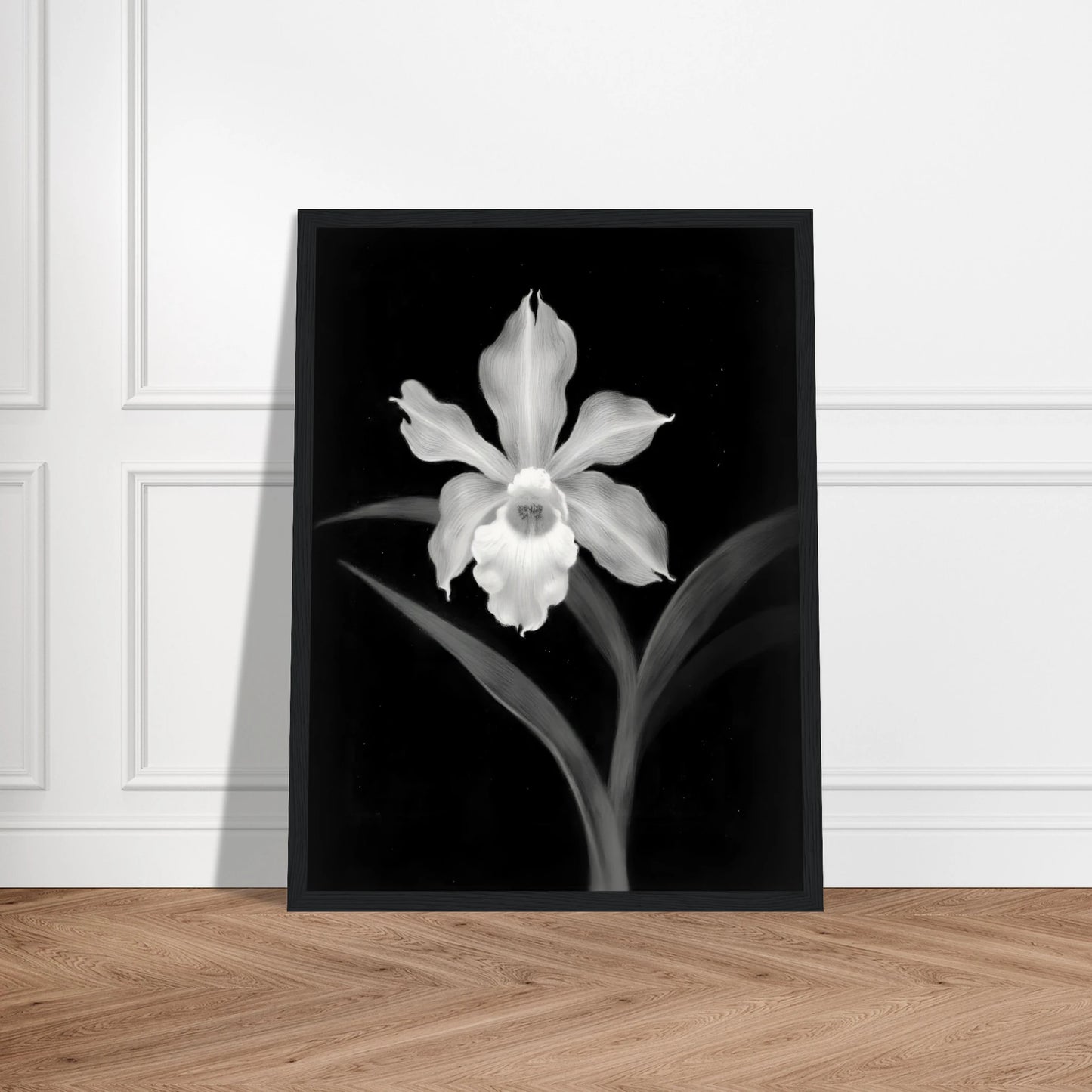 Elegant monochrome orchid blossom glowing in white against deep black background, with graceful leaves creating a dramatic botanical portrait.