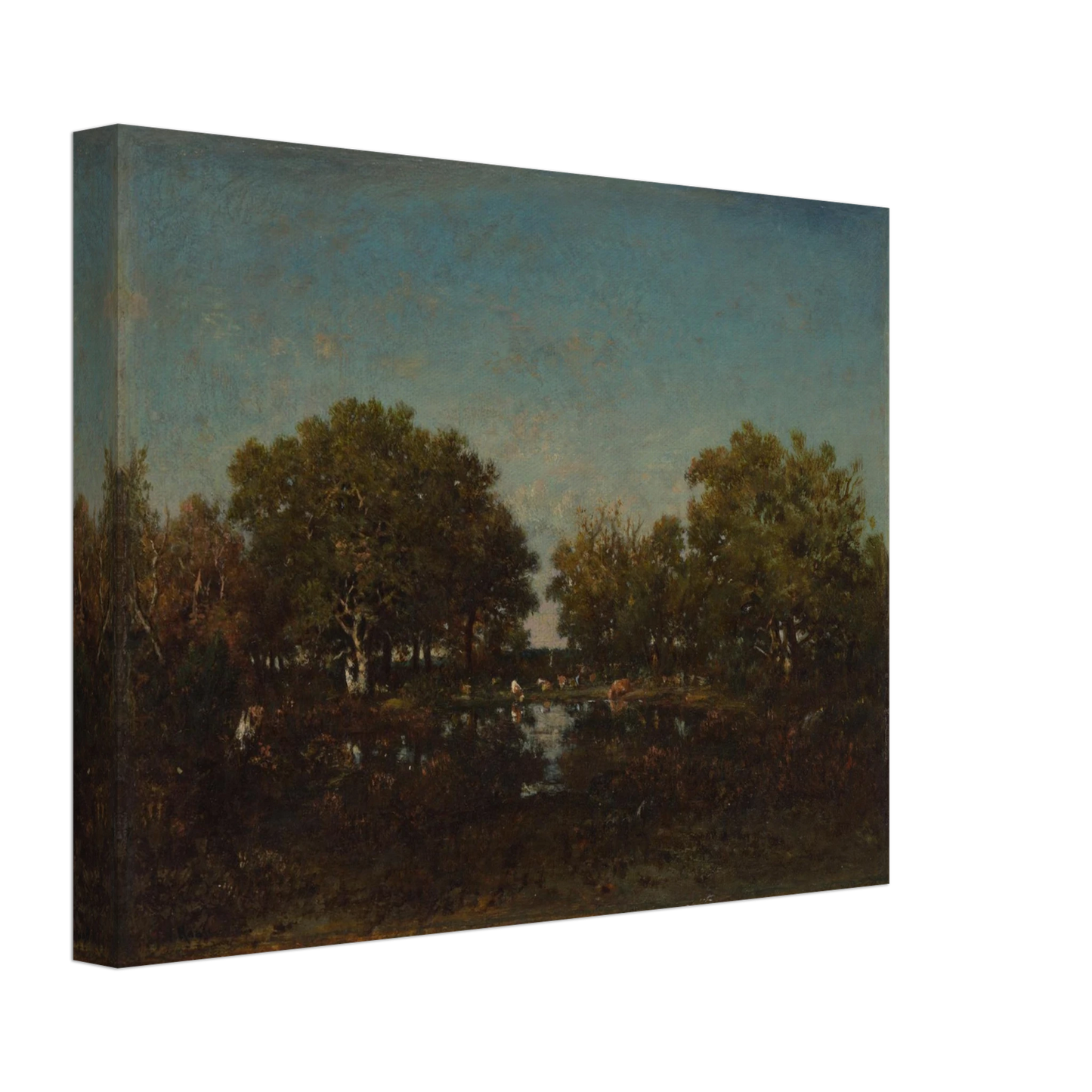Cattle gather beside a reflective woodland pool beneath dense trees and a wide blue sky.