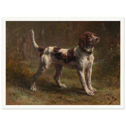 A brown-and-white hound stands alert in a dark woodland clearing.