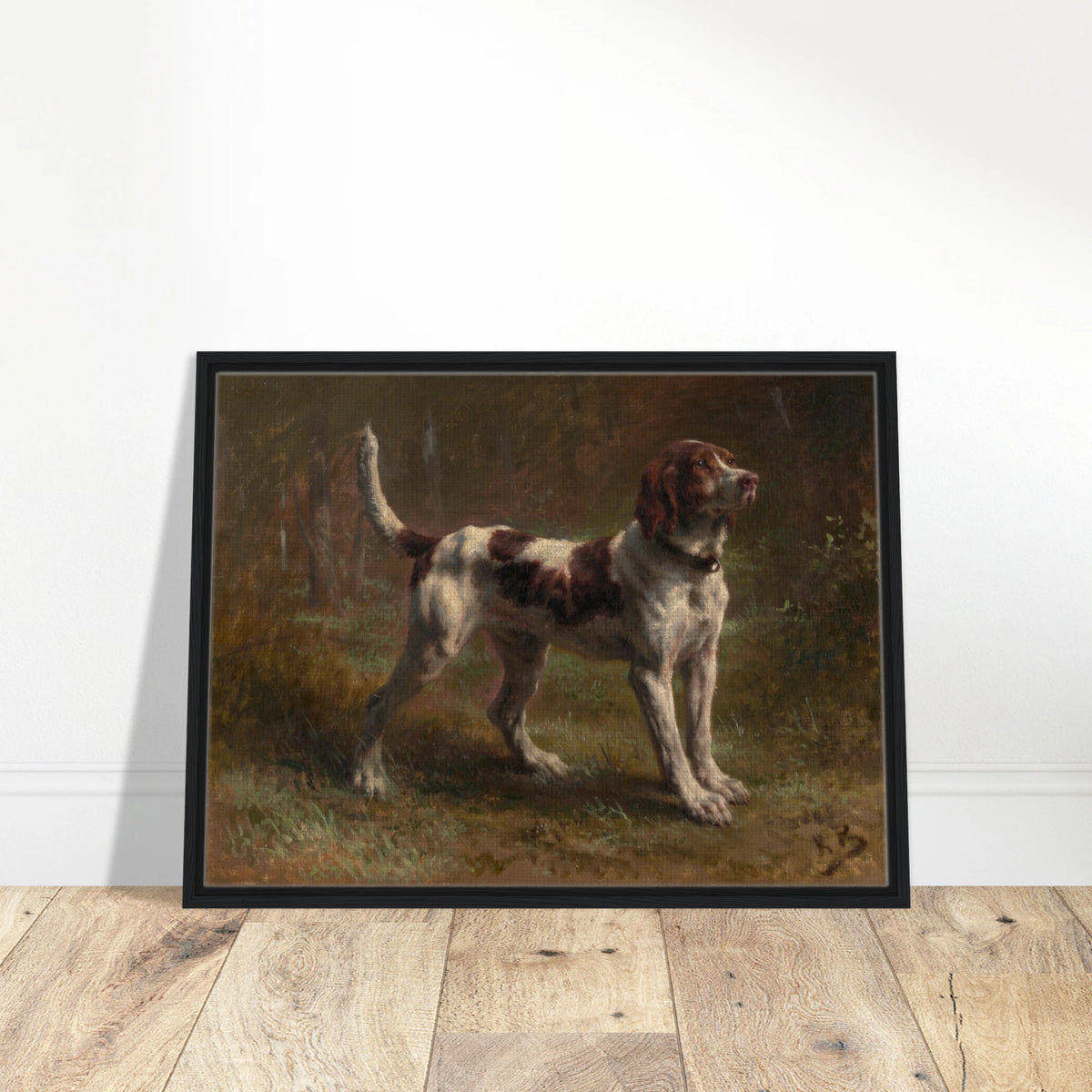 A brown-and-white hound stands alert in a dark woodland clearing.