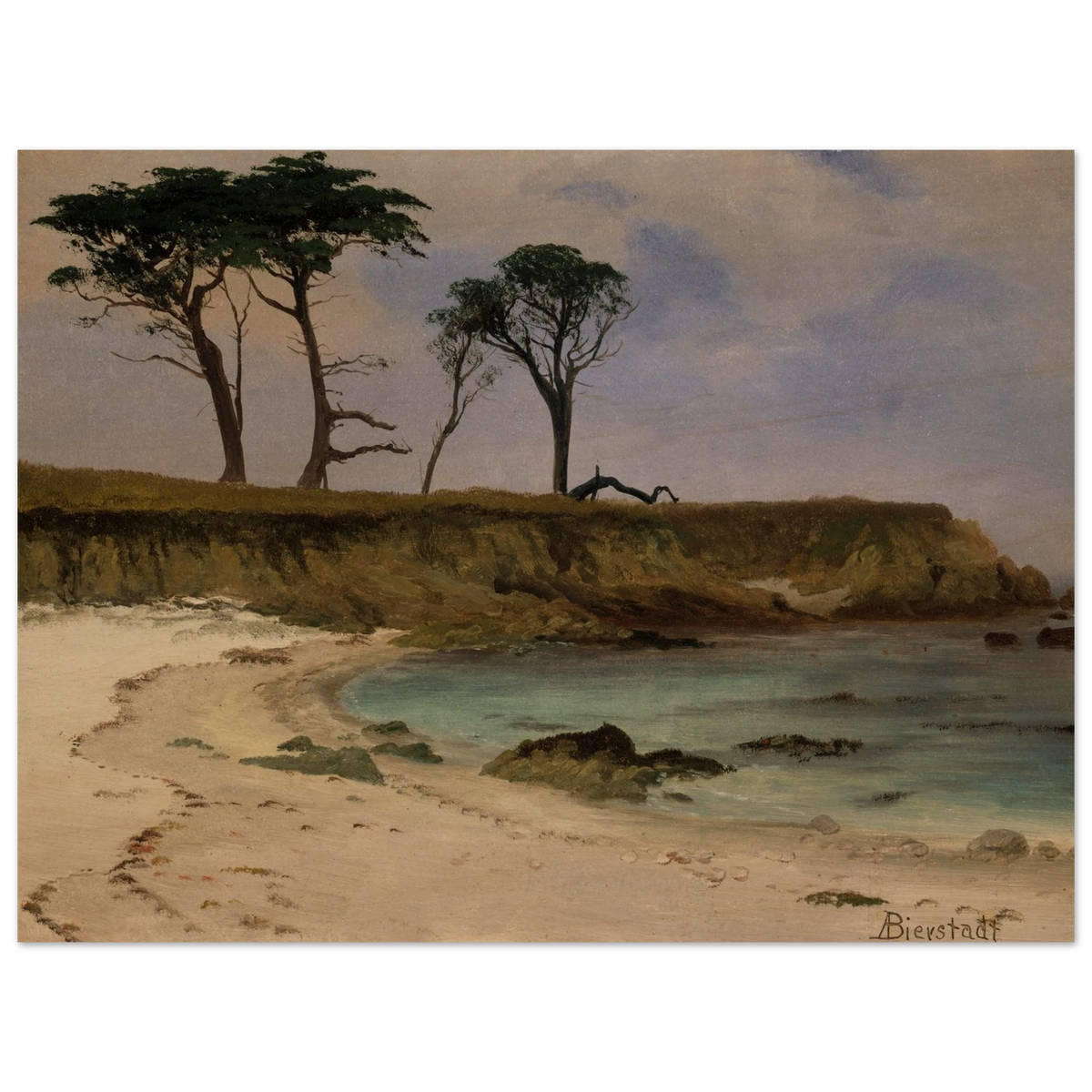 A quiet sea cove with pale sand, blue water, rocky cliffs, and wind-shaped trees.