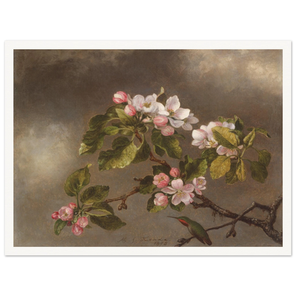 A hummingbird perches beneath pink apple blossoms against a cloudy gray-brown sky.