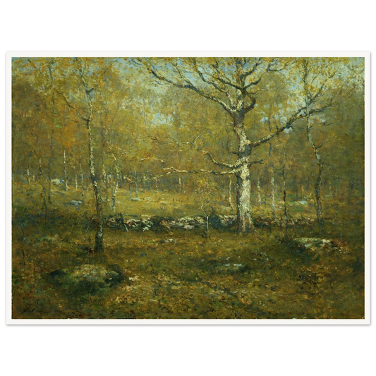 Sunlit woodland with slender trees, a pale spreading tree, and a low stone wall amid lush foliage.