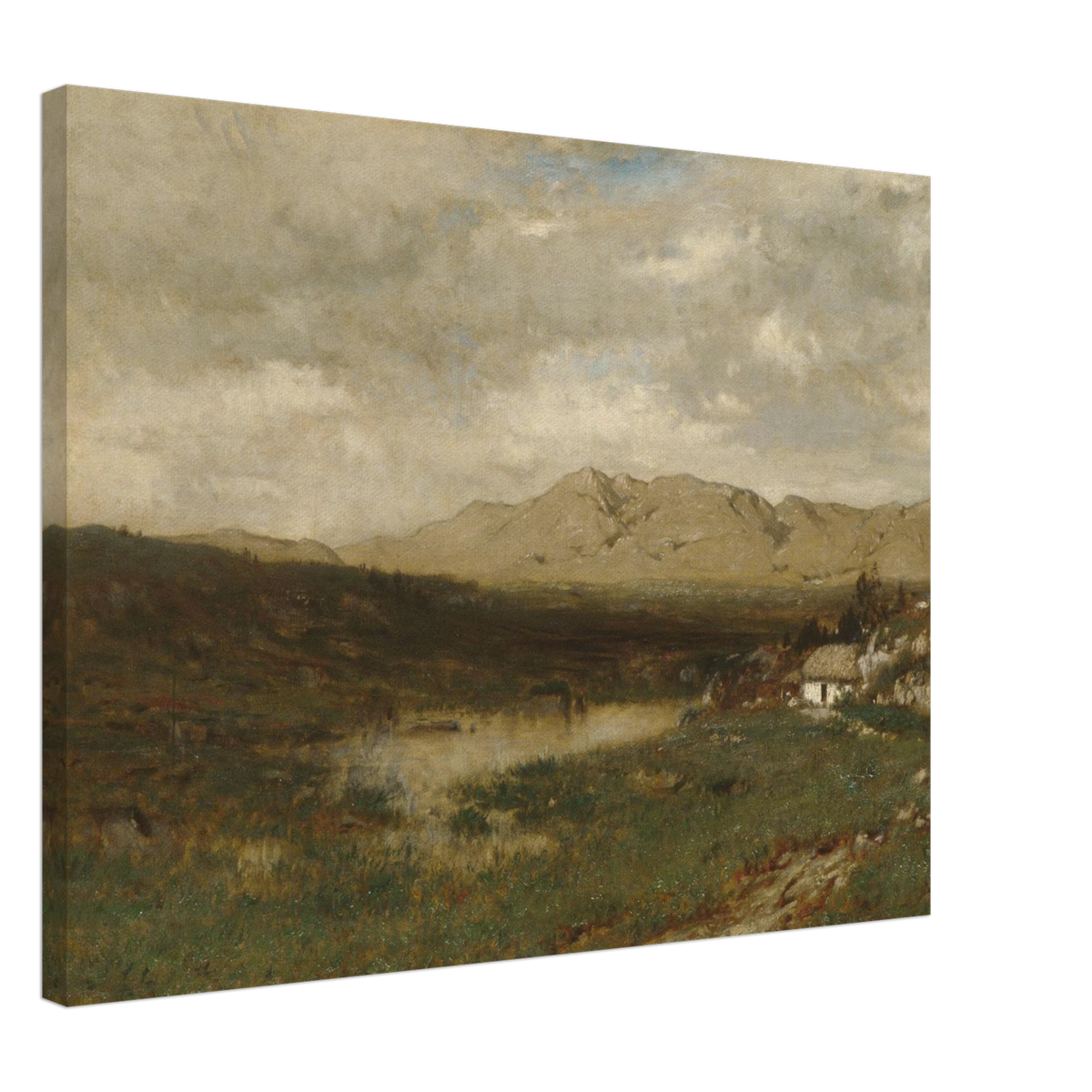 A rural cottage sits below distant mountains beneath a broad, cloudy sky in the Irish countryside.