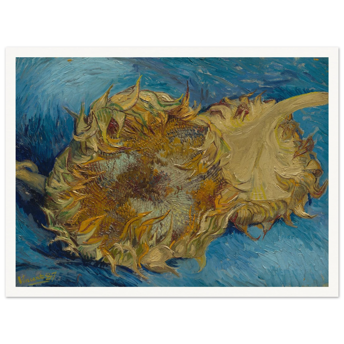 Two cut sunflowers lie on a vivid blue background with thick, expressive brushstrokes.
