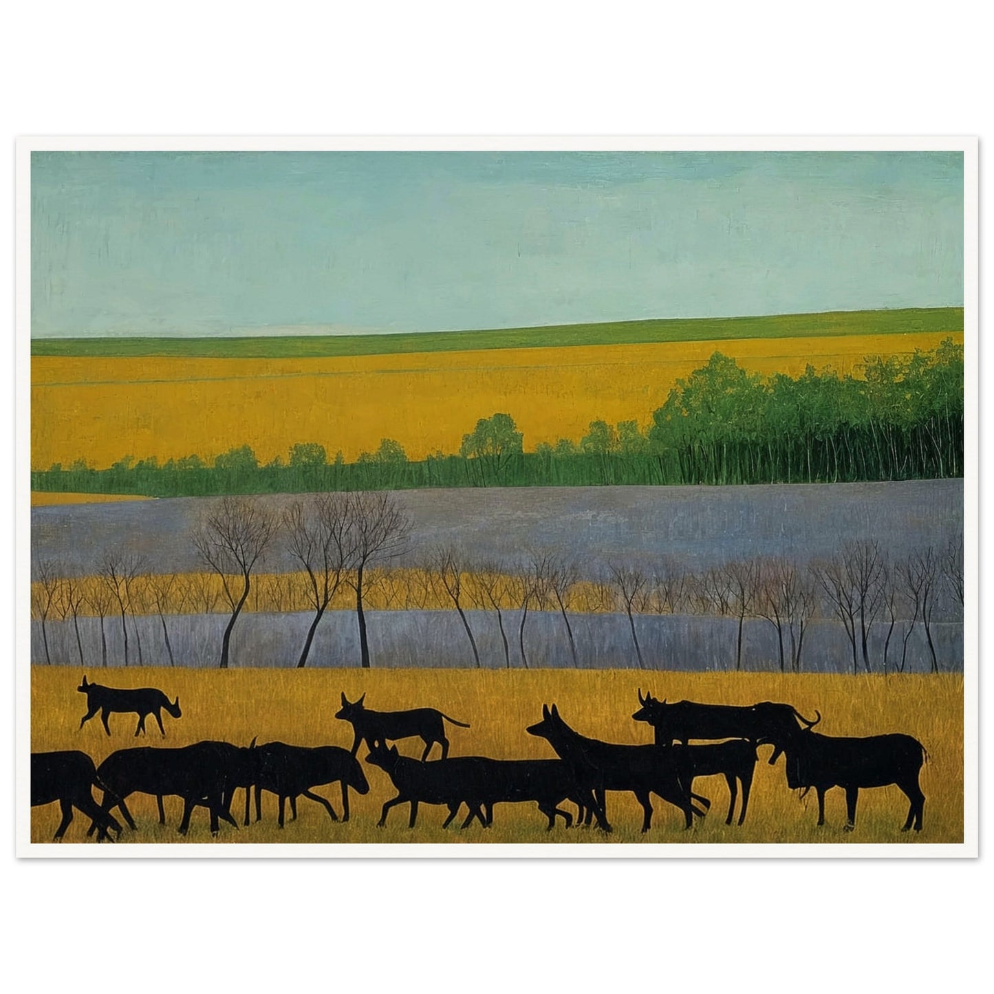 A peaceful scene of black cattle walking across golden fields, with green trees and a clear blue sky in the distance.