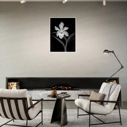 Elegant monochrome orchid blossom glowing in white against deep black background, with graceful leaves creating a dramatic botanical portrait.