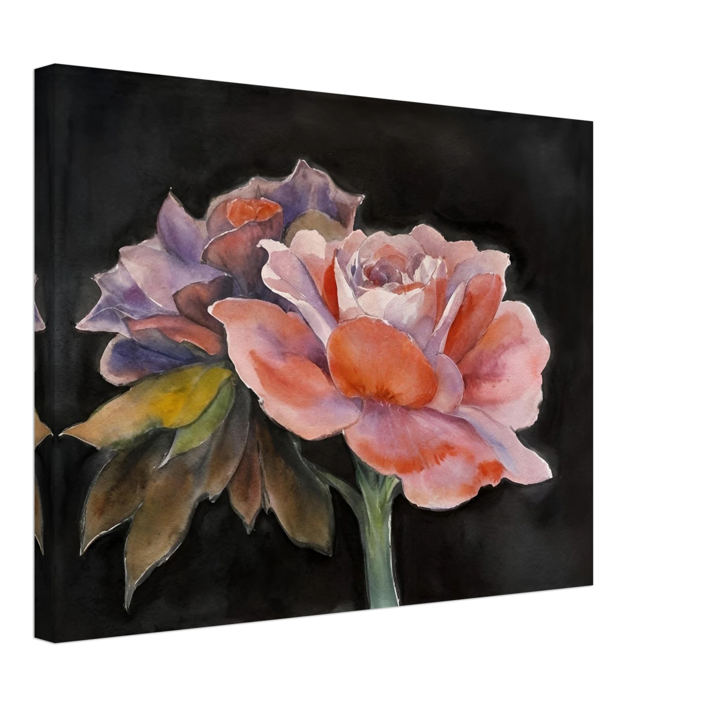 Two delicate watercolor roses with soft pink, purple, and peach tones bloom vividly against a dark background.