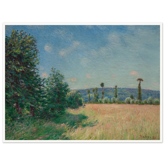 Sunlit meadow with tall trees, open field, and a pale blue sky in a bright rural landscape