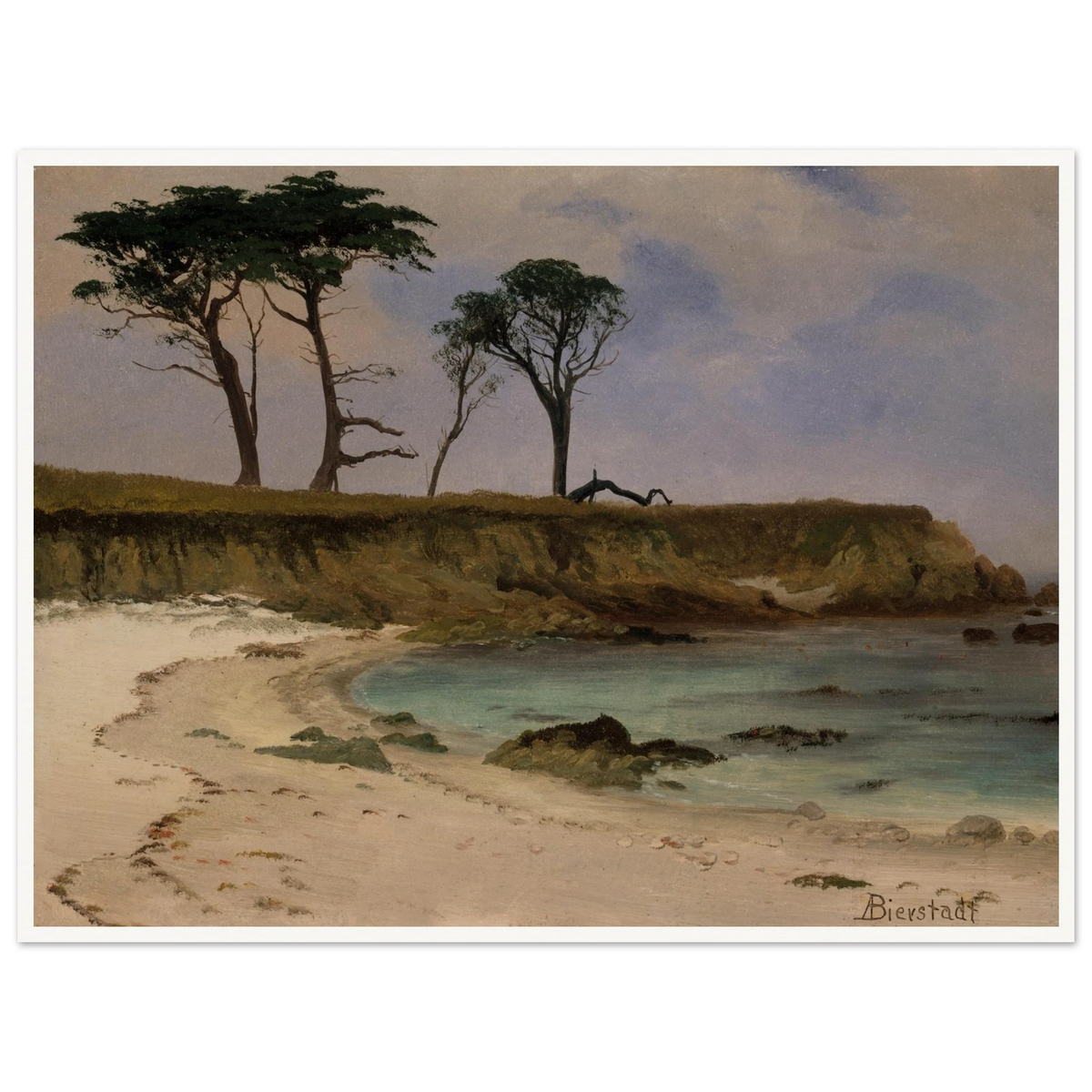 A quiet sea cove with pale sand, blue water, rocky cliffs, and wind-shaped trees.
