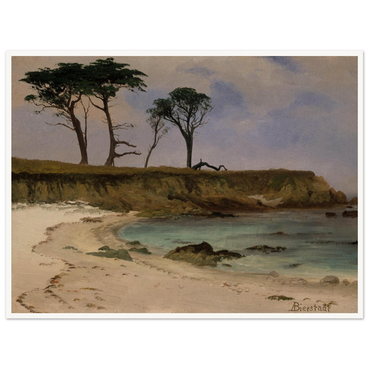 A quiet sea cove with pale sand, blue water, rocky cliffs, and wind-shaped trees.