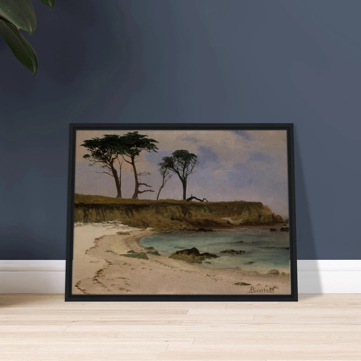 A quiet sea cove with pale sand, blue water, rocky cliffs, and wind-shaped trees.