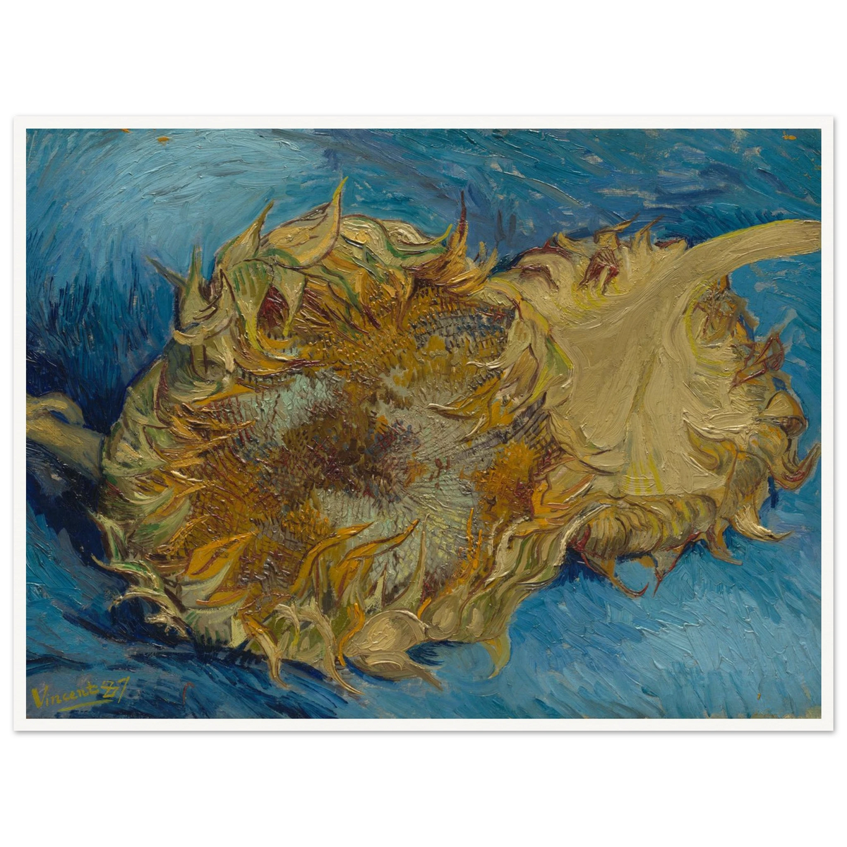 Two cut sunflowers lie on a vivid blue background with thick, expressive brushstrokes.