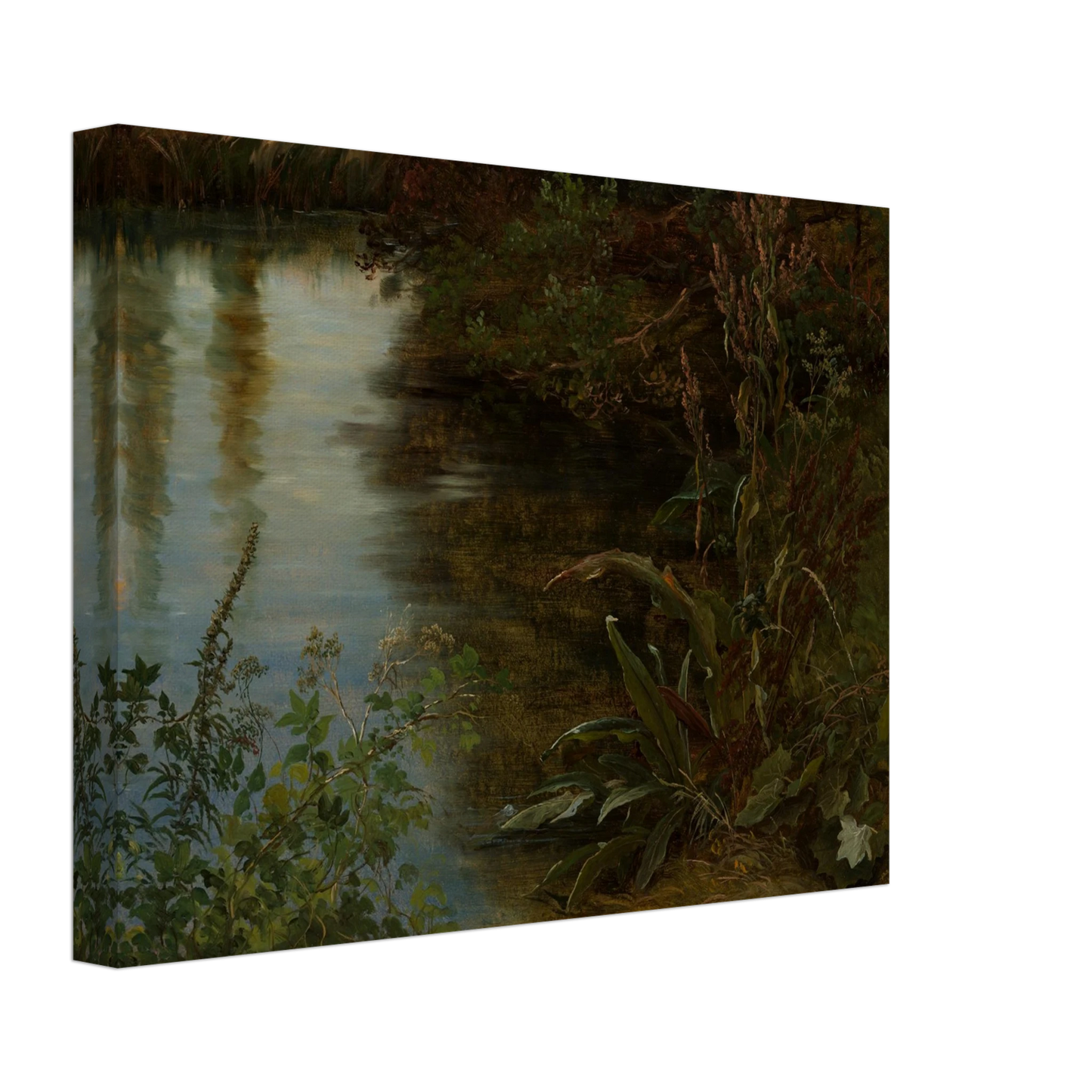 Calm water reflects trees beside dense riverbank plants and grasses