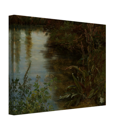 Calm water reflects trees beside dense riverbank plants and grasses