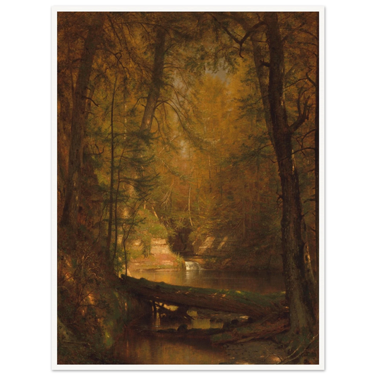 Sunlit forest interior with tall trees, a stream, fallen log, and small waterfall