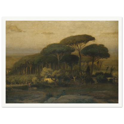 Umbrella pines rise over a quiet Italian landscape with fields and distant hills
