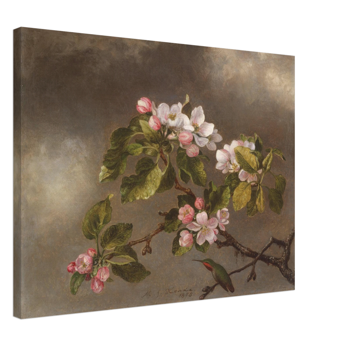 A hummingbird perches beneath pink apple blossoms against a cloudy gray-brown sky.