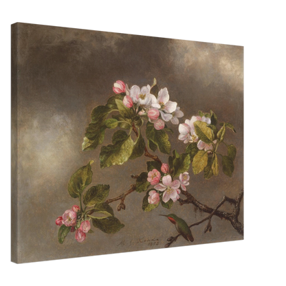 A hummingbird perches beneath pink apple blossoms against a cloudy gray-brown sky.