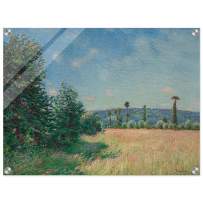 e7a9c083-6dcd-4ae1-bd1b-3153e381dda4