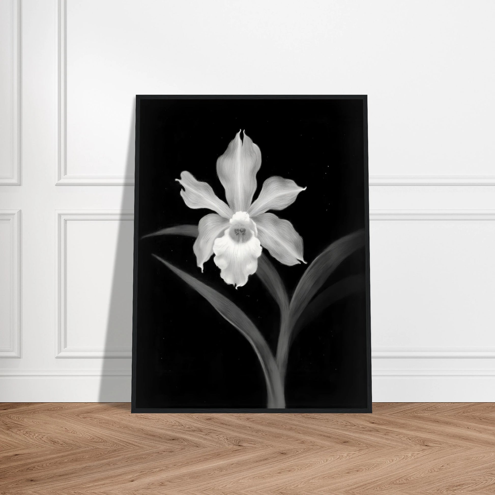 Elegant monochrome orchid blossom glowing in white against deep black background, with graceful leaves creating a dramatic botanical portrait.