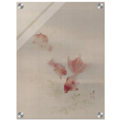 e9091967-57c1-48ed-88e0-fc447871cc18