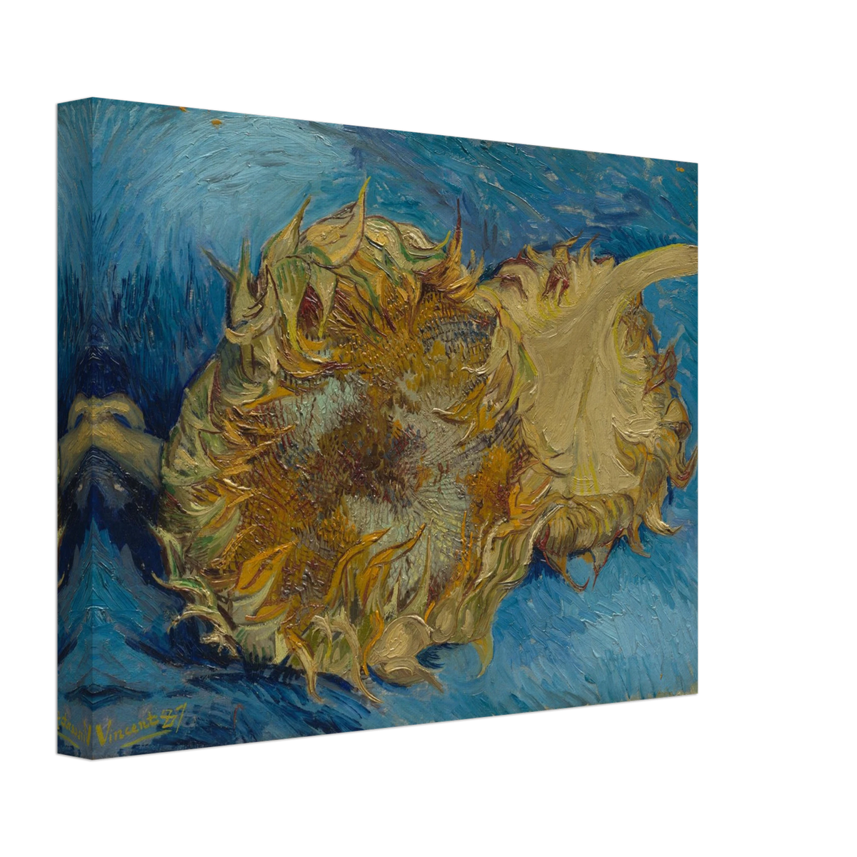 Two cut sunflowers lie on a vivid blue background with thick, expressive brushstrokes.
