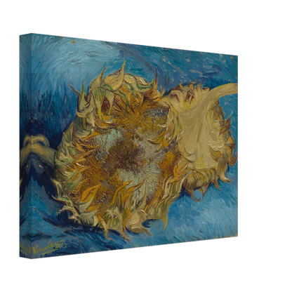 Two cut sunflowers lie on a vivid blue background with thick, expressive brushstrokes.