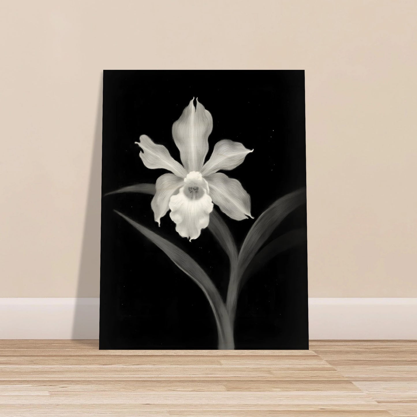 Elegant monochrome orchid blossom glowing in white against deep black background, with graceful leaves creating a dramatic botanical portrait.